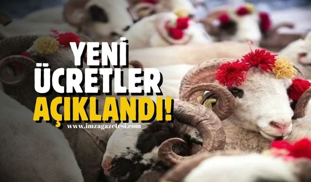 2024 Kurban Bayramı, kurban kesimi için yeni ücretler açıklandı!