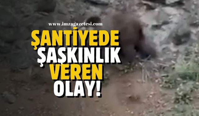 Şantiyedeki olay vatandaşları şaşırttı!