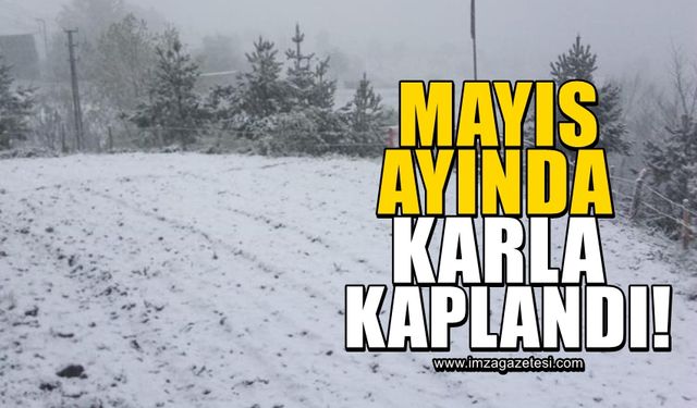 Kastamonu, Mayıs ayında karla kaplandı!