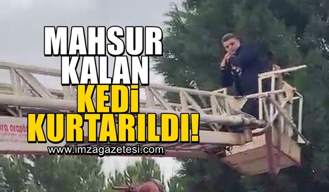 Mahsur kalan kedi kurtarıldı