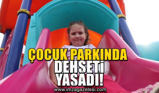 Minik kız, çocuk parkında dehşeti yaşadı!