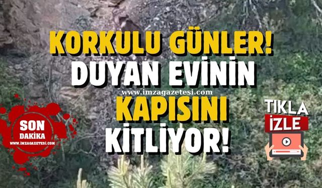 O ilçede korkulu günler! Duyan evinin kapısını kitliyor!