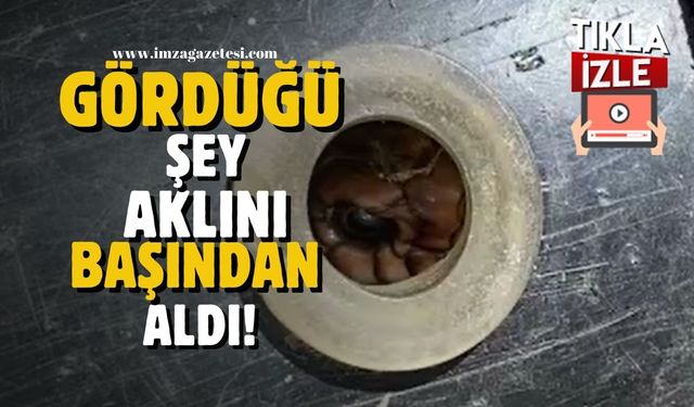 Tarlada şok olay! Gördüğü şey aklını başından aldı