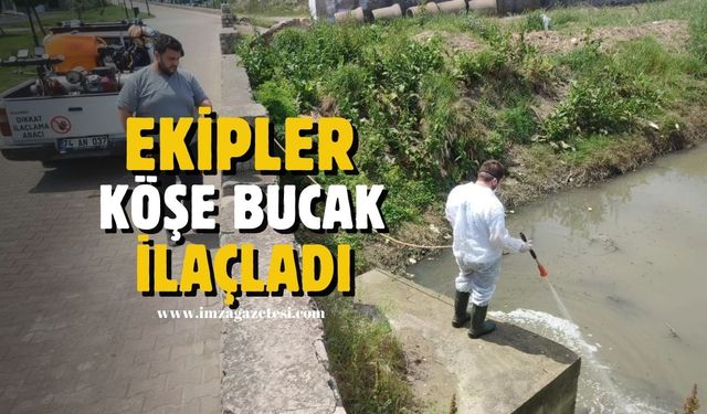 Filyos Belediyesi sağlık için ilaçlama çalışmalarına başladı...