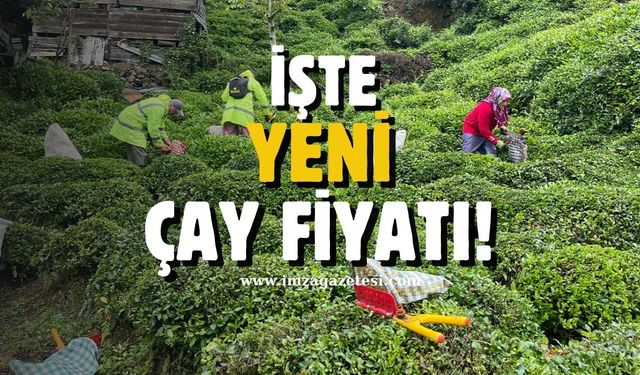 Bakanlık açıkladı! İşte yeni çay fiyatı!