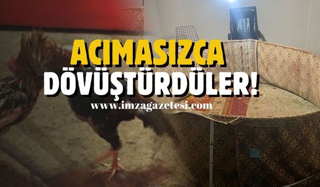 Acımasızca dövüştürdüler!