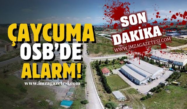 Çaycuma OSB'de gıda zehirlenmesi alarmı!