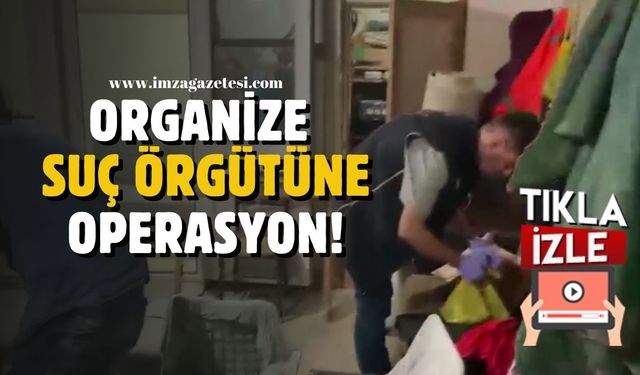 Organize suç örgütüne büyük operasyon!