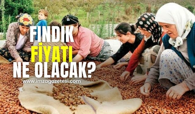 Fındık fiyatı ne kadar olacak?