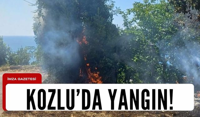 Kozlu İlçesi Ormanlık Alanında Yangın Paniği: İtfaiye Ekipleri Müdahale Etti