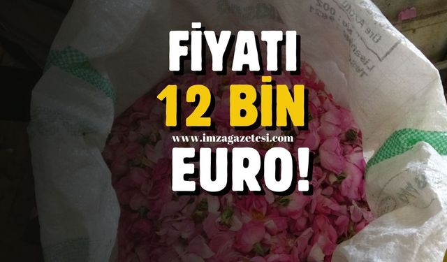 Isparta'nın altın damlası...Fiyatı 12 Bin Euro'yu Aşıyor!