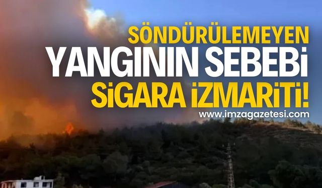 Sigara izmariti yangın çıkardı!