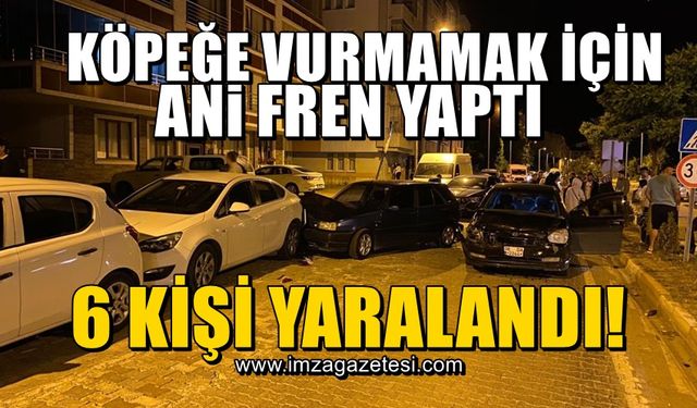 Köpeğe çarpmamak için ani fren yaptı kazada 6 kişi yaralandı!