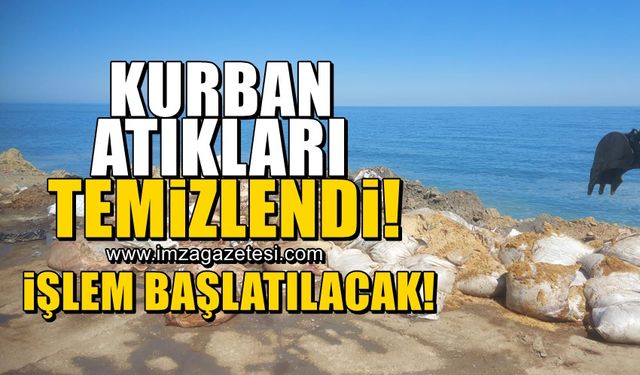 Kozlu sahiline atılan kurban atıkları temizlendi! İşlem başlatılacak!