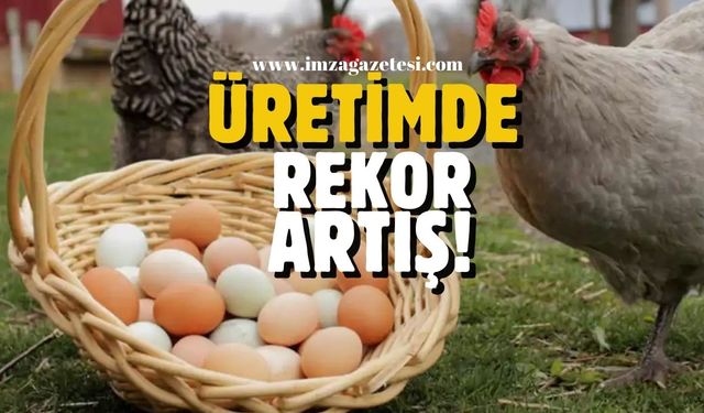 Tavuk ve Yumurta Üretiminde Rekor Artış!