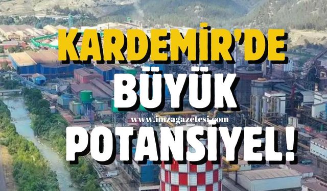 Kardemir Hisselerinde Büyük Potansiyel!