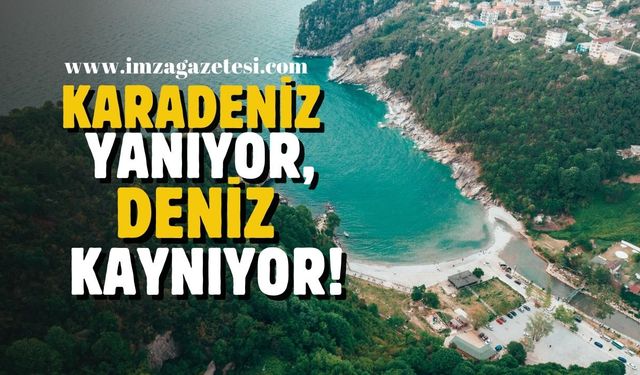 Karadeniz yanıyor, deniz kaynıyor!