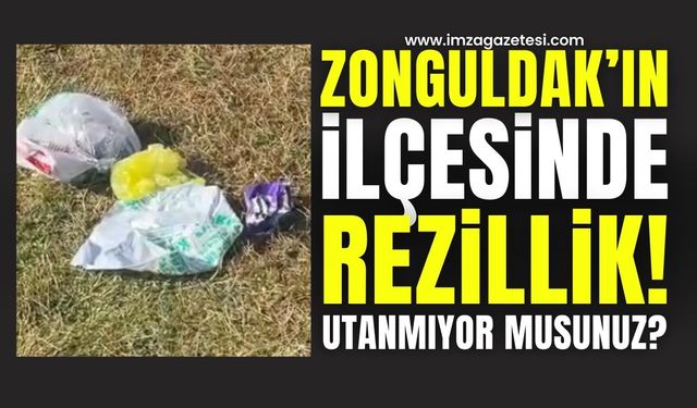 Zonguldak İlçesinde Çöp Sorunu: Piknik Alanlarında Tepki Büyüyor