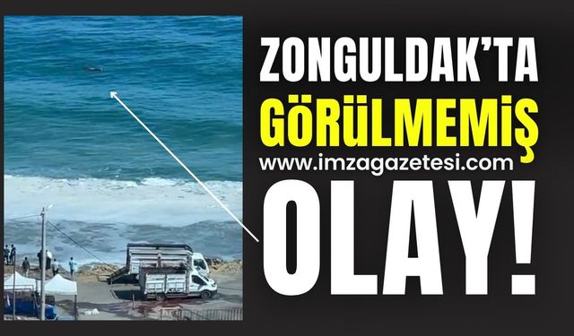 Zonguldak'ta Şaşırtıcı Bir Olay: Kurbanlık Dana Denize Atlayıp Kaçtı