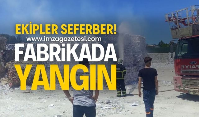 Zonguldak'ın Çaycuma ilçesinde fabrikada yangın!