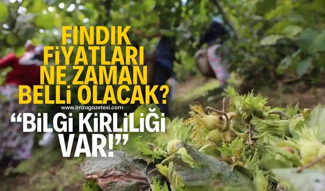 2024 yılı Fındık fiyatları ne zaman belirlenecek?