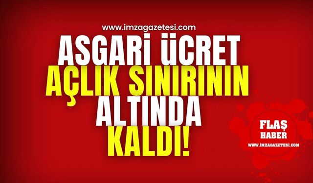 Asgari ücret açlık ve yoksulluk sınırının altında kaldı!