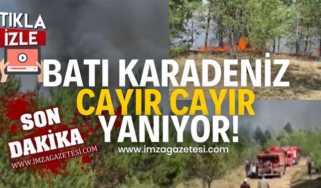 Batı Karadeniz alevlere teslim oldu!