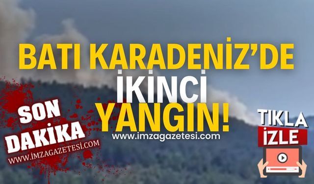 Batı Karadeniz'de ikinci yangın!