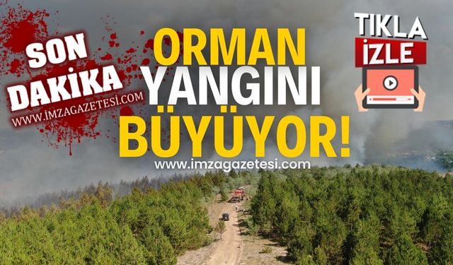 Batı Karadeniz'deki orman yangınına havadan müdahale!