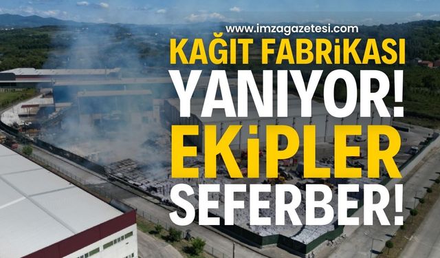 Çaycuma'daki Essel Kağıt Fabrikası'nda büyük yangın: Ekipler olay yerinde