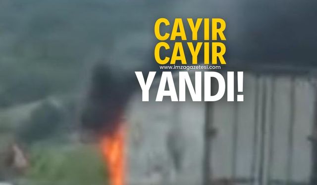 Cayır cayır yandı!