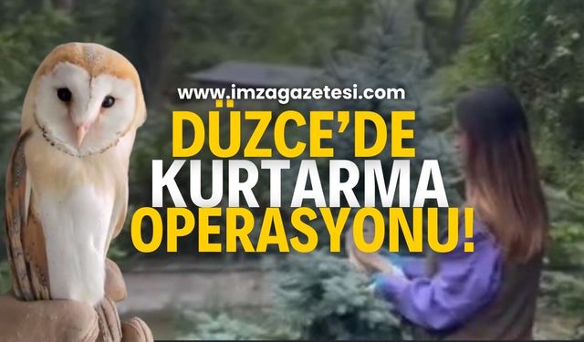 Düzce'de Peçeli Baykuş Operasyonu!