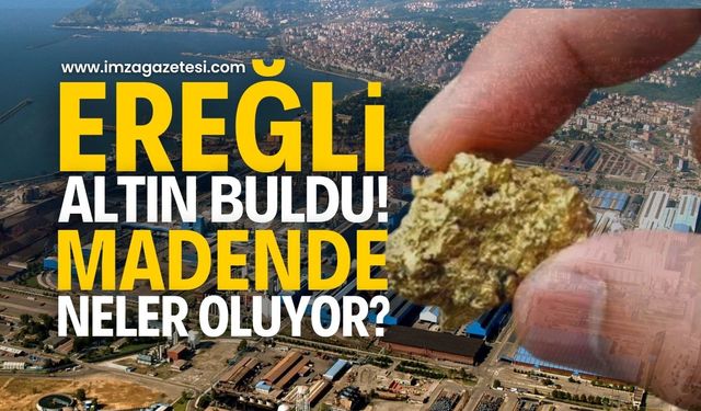 Ereğli Demir Çelik Altın Keşfi: Maden Sahasında Yeni Gelişme