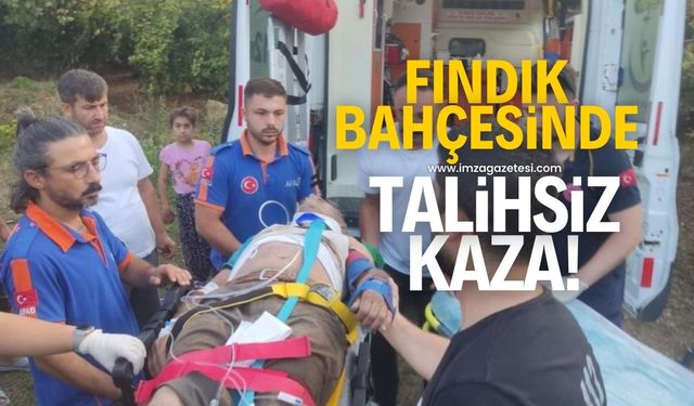 Fındık bahçesinde talihsiz iş kazası!