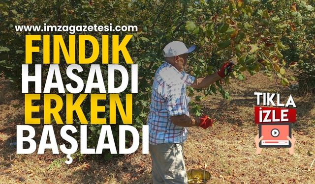 Fındık Hasadı Erken Başladı