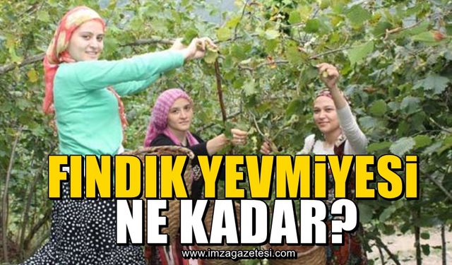 Fındık yevmiyesi 2024 yılında ne kadar olacak?