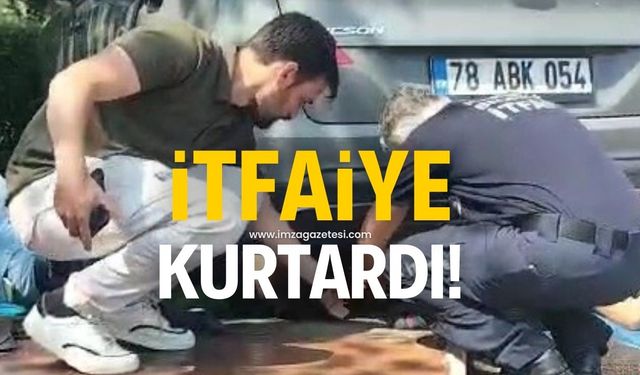 İtfaiye ekipleri tarafından kurtarıldı!