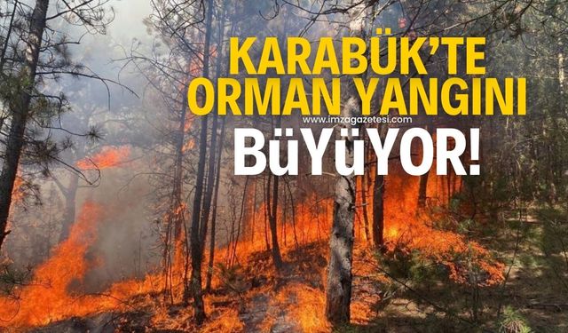 Karabük'te çıkan orman yangını büyüyor!