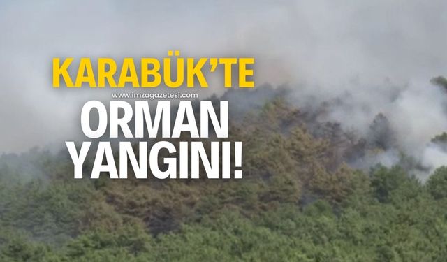 Karabük'te orman yangını! Çok sayıda ekip bölgeye sevk edildi