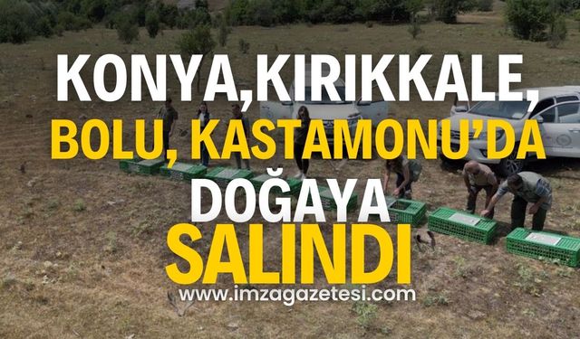 Konya, Kırıkkale, Karabük ve Bolu Ve Kastamonu’da doğaya salındılar…