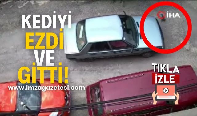 Kediyi ezdi ve gitti!