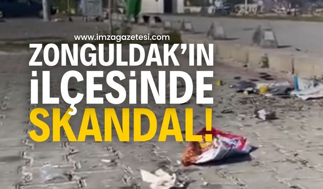 Kozlu’da Çevre Kirliliği Skandalı: Toplumsal Tepkiler Yükseliyor