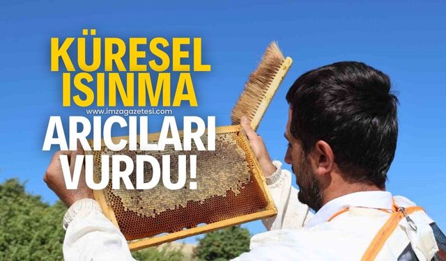 Küresel ısınma arıcıları vurdu!