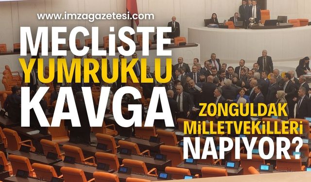 Meclis'te Yumruklu Kavga: Milletvekilleri Arasında Tansiyon Yükseldi