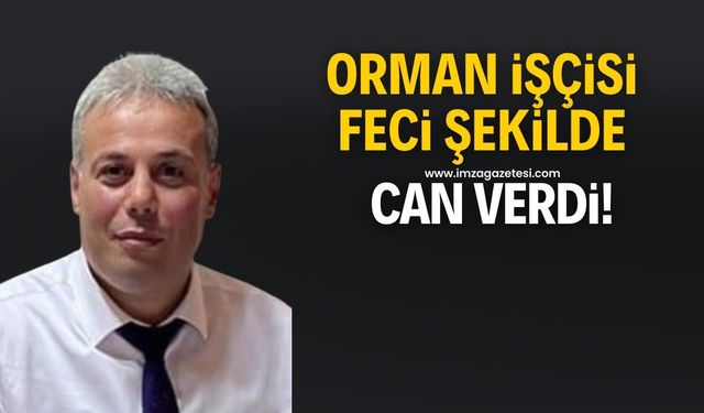 Orman işçisi feci şekilde hayatını kaybetti!