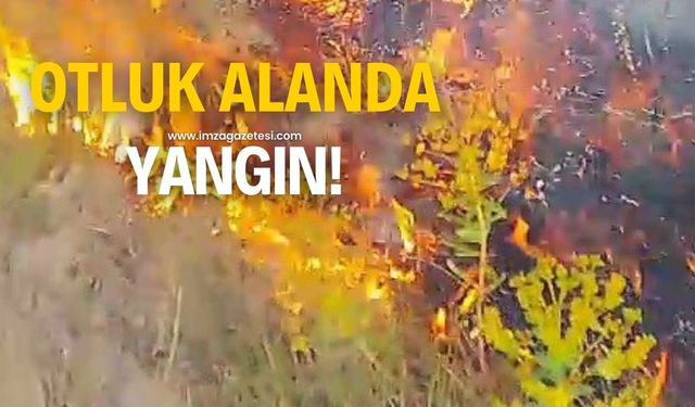 Otluk alanda yangın çıktı!