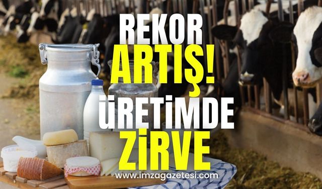 Rekor Artış! Üretim Zirveye Ulaştı