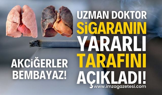 Sigara İçmenin Akciğer Üzerindeki Etkileri ve Tere Kürü