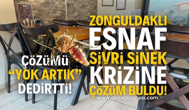 Sivri Sinek Sorunu Zonguldak Esnafını Vurdu: Bakın nasıl çözüm yolu buldu?