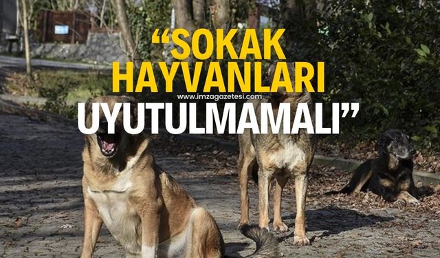 "Sokak hayvanları uyutulmamalı"